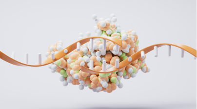 알부민, 단백질 보충제